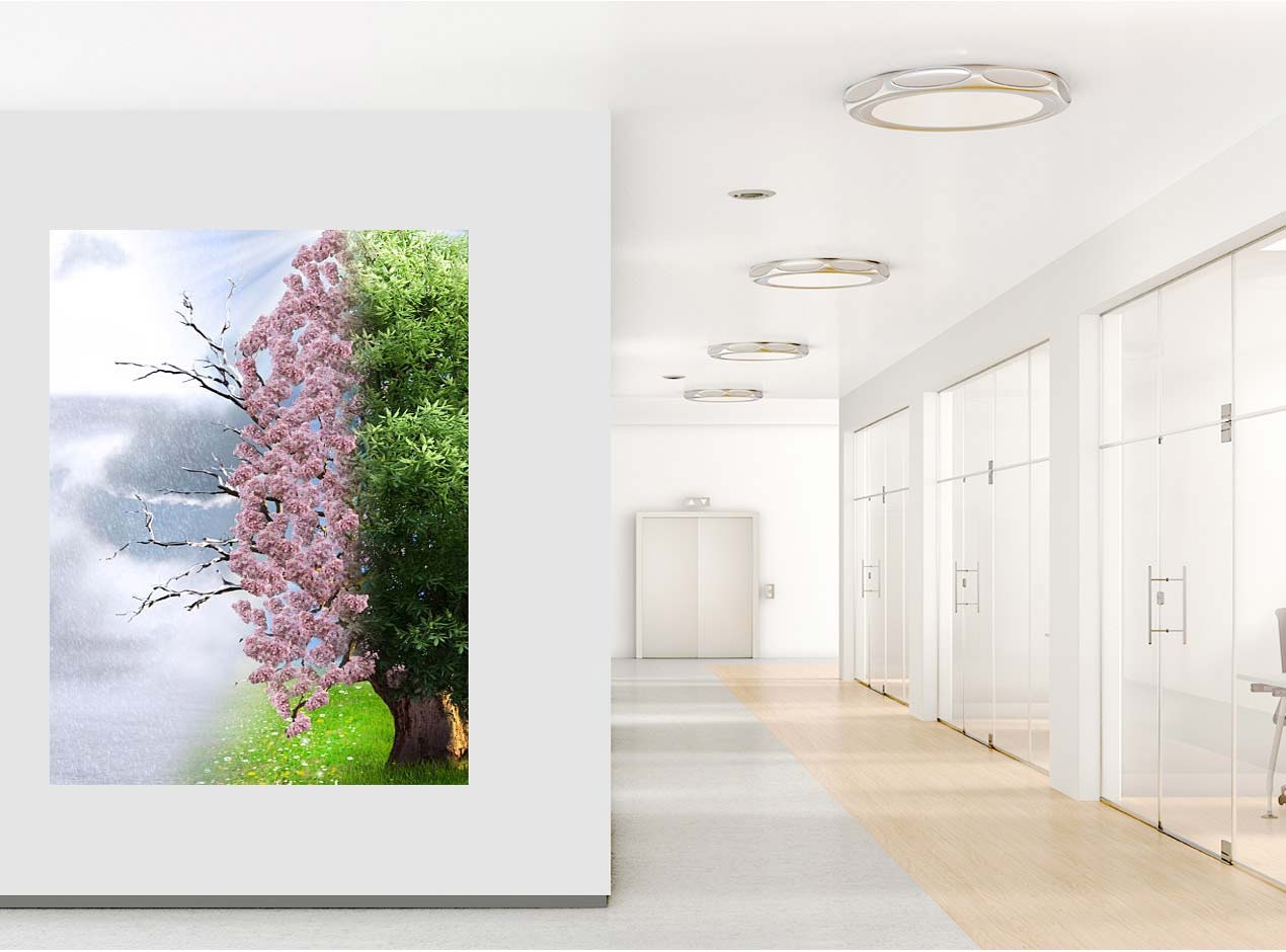 Moorestown Custom Carpentry, Painting Contractor and Exterior Painting